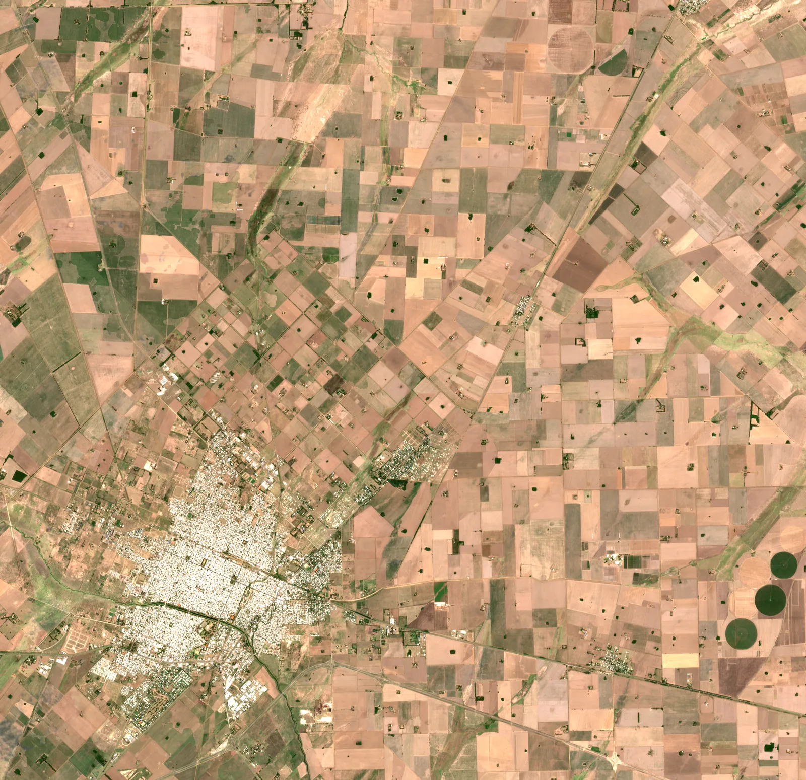 Imagen satelital de campos de Pergamino en enero de 2023, con lotes de soja secos y pardos.